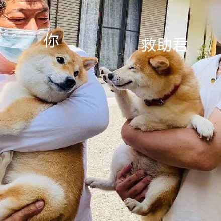 1608028319349027.jpg